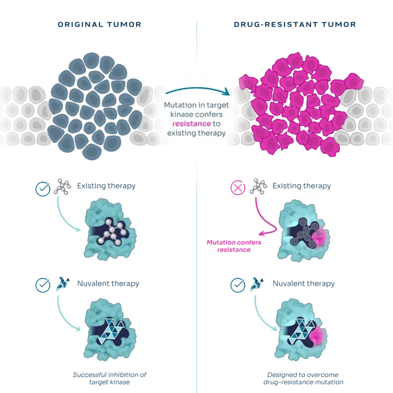 Unlike existing therapies, Nuvalent’s small molecule inhibitors are effective in both original and drug-resistant cancers
